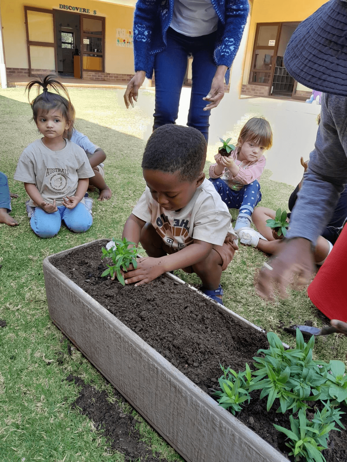 Children planting seedlings in a raised garden bed with their teacher